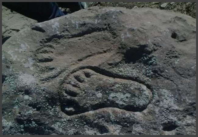 رد پا در گنج یابی