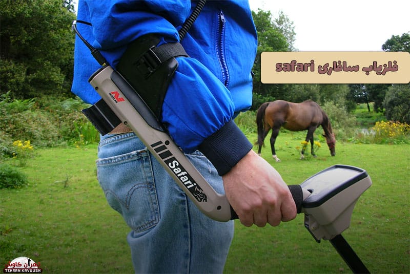 فلزیاب سافاری