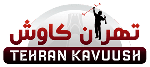 فروشگاه طلایاب تهران کاوش